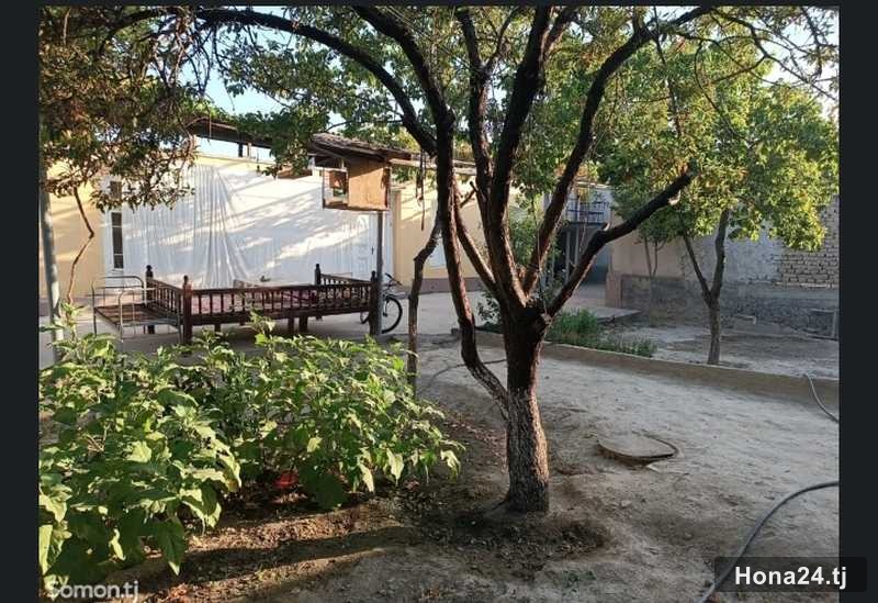 5-комн. дом, Кабул Таджик, 250 м² — 5